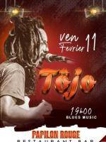 Tojo Papillon Rouge Ambondrona