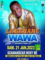 Wawa Concert La Banane (Dzamandzar)