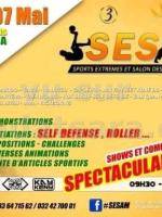 SESAM - Sports extremes et Salon des arts martiaux - Palais des Sports Mahamasina