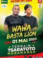 Wawa & Basta Lion Espace Tsaratoto
