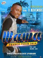 Wawa‍ en concert à Toulouse Salle Polyvalente d'Odars