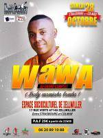 Wawa en concert au grand complet Espace Socioculturel De Zellwil