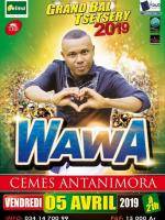 Wawa grand bal tsetsery CEMESS Antanimora