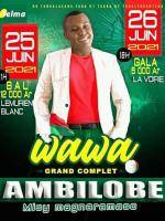 Wawa Lemurien Blanc Ambilobe - La Voirie Ambilobe