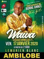 Wawa Lemurien Blanc Ambilobe