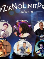 Ziknolimitproject - La Palette Antsirabe‍