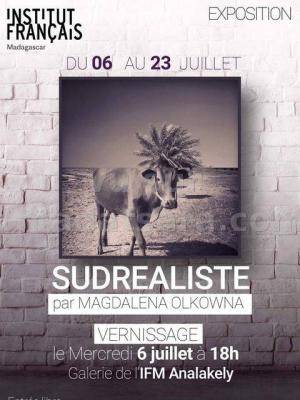 Expositions / Salons - Sudrealiste - IFM - Institut Français de Madagascar