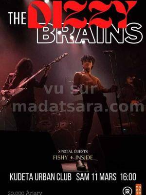The Dizzy Brains Concert Kudeta urban Club