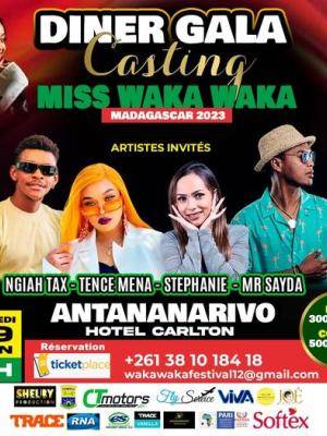 Diner Gala Casting miss Waka Waka - Ngiah Tax Olo Fotsy , Tence Mena , Stéphanie , Mr Sayda - Showcase Hotel Carlton