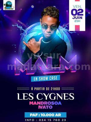 Malm Martiora Showcase Les Cygnes Mandrosoa Ivato