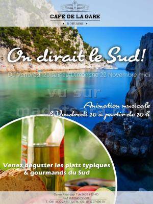 Animation musicale - On dirait le Sud au Café de la Gare
