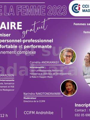 Séminaire comment organiser son équilibre personnel-professionnel pour rester confortable et performante dans un environnement complexe  Séminaire ccifm Androhibe