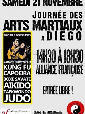 Journée des arts martiaux à Diégo à l'Alliance Française