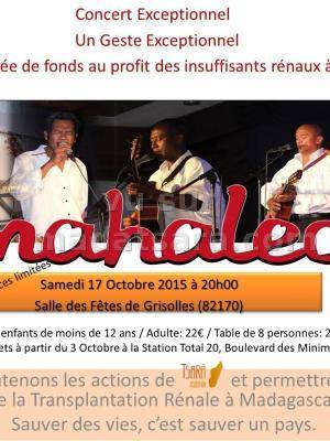 Mahaleo en concert à la salle des fêtes de Grisolles Toulouse