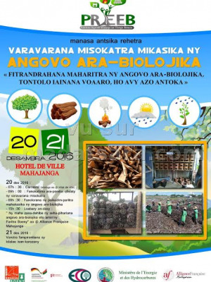 Angovo ara-biolojika - Hotel de Ville Mahajanga