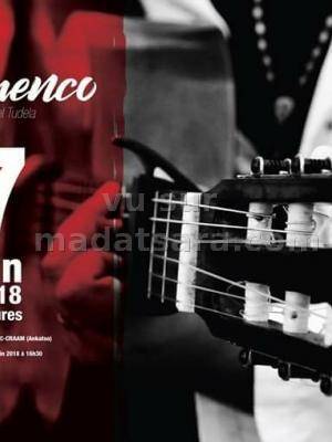 Atelier flamenco Espace Art Public (CRAAM) Ankatso