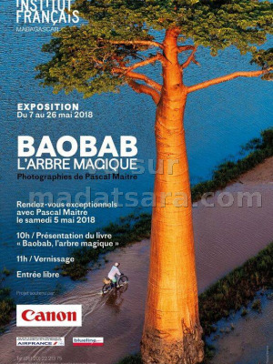 Baobab - l'arbre magique - IFM - Institut Français de Madagascar‍