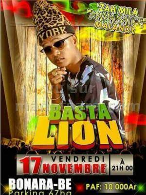 Basta Lion en show case Bonara-Be 67ha
