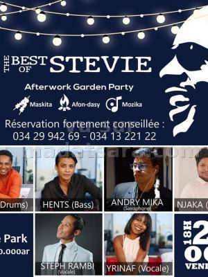 best of Stevie Skate Park Ankaditapaka