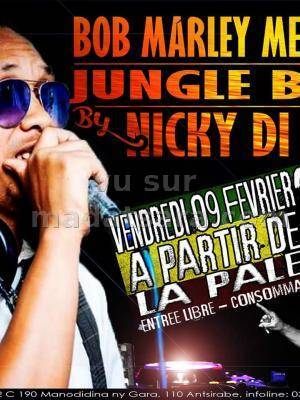 Bob marley memoriam La Palette Antsirabe
