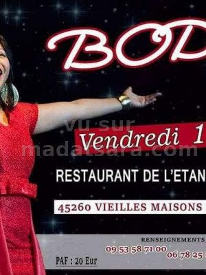Bodo‍ en concert - Restaurant de l'Etang des Bois Vieilles-Maisons-sur-Joudry‍
