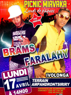 Brams‍ & Faralahy‍ - picnic miavaka - Terrain Ampandrontsiriry