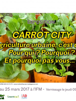 Carrot city - exposition à l'IFM - Institut Français de Madagascar‍