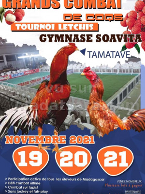 Combat de coq - tournoi letchis Gymnase Soavita Toamasina‍