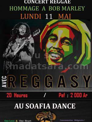 Concert Reggae hommage à Bob Marley au Sofia Dance