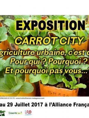 Exposition carrot city IFM - Institut Français de Madagascar