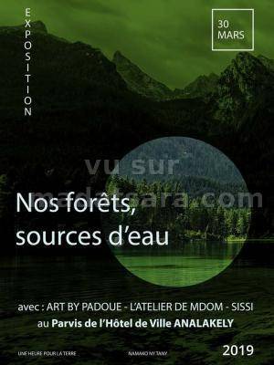 Exposition nos forêts source d'eau Hotel de Ville Analakely Antananarivo