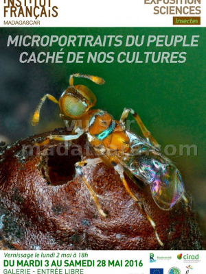 Exposition sciences - micorportraits du peuple caché de nos cultures - IFM