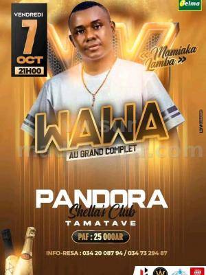 Wawa Showcase Pandora Shella's