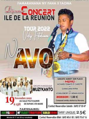 Ny Avo, Muzik'Anto Concert Salle Polyvalente Du Parc Ste-Marie