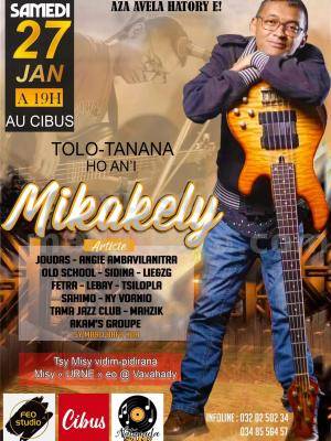 Tolo tanana Hoan'i Mikakely