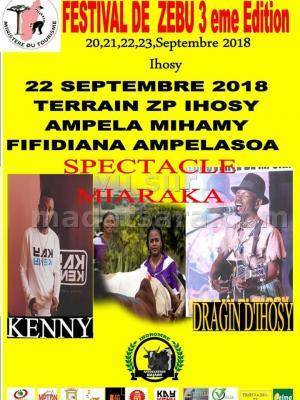 Festival de zebu 3é édition Ihosy