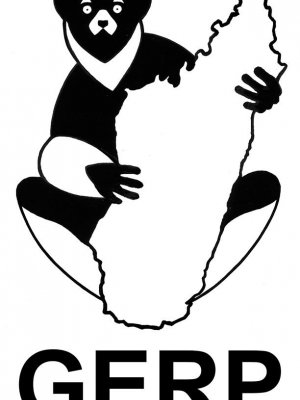 Festival mondial des lémuriens 3ème édition