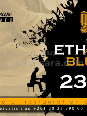Groove au Le Louvre 313 Antaninarenina‍ - Ethnik & Blues