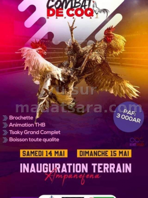 Inauguration terrain Ampanefena - Combat de coq