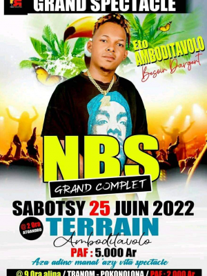 Nbs - Showcase - Terrain Amboditavolo