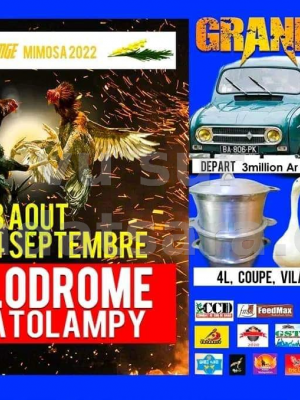 Challenge Mimosa 2022 - Gallodrome Ambatolampy