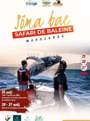 Sôma Bae - Safari de baleine Mahajanga