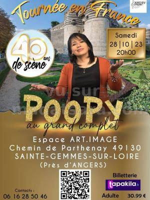 Tournée en France 40 ans de scène