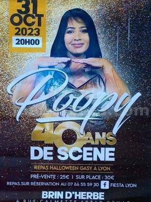 Tournée en France 40 ans de scène