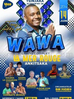 Wawa Showcase La Mer Rouge Ankitsaka