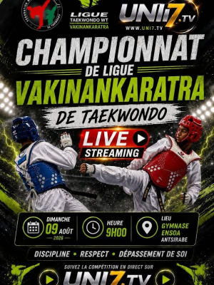 Championnat de ligue Vakinankaratra - Sport / Taekwondo