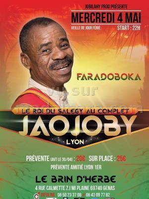 Jaojoby faradoboka à Lyon Le Brin d'Herbe