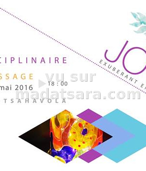 Joyful - exposition multidisciplinaire au IKM Antsahavola