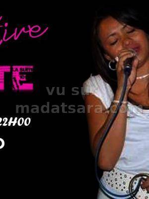 Lalanto Trio en concert live à la Suite 101