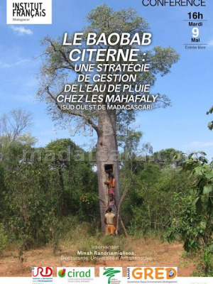 Le baobab citerne : une stratégie de gestion de l'eau de pluie chez les mahafaly - IFM - Institut Français de Madagascar‍